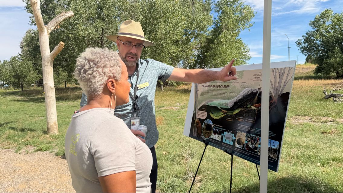 An outdoor discussion beside a nature education display.